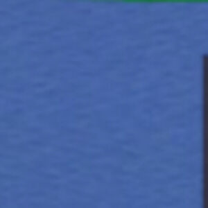 Meet your Posher, Vincent